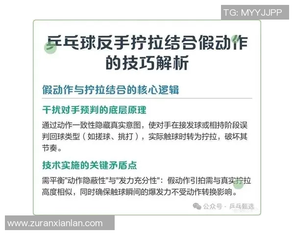 科学乒乓球实力提升的系统训练方法与技巧解析
