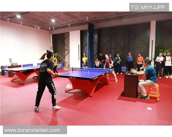 运动数据乒乓球的奋斗与荣耀北京乒乓球队成长历程全景纪实