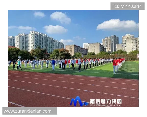 运动数据南京乒乓球队的拼搏历程与荣耀时刻全景回顾